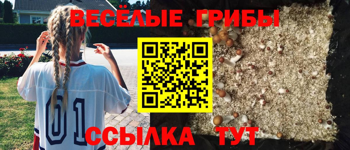 Красноярск  Псилоцибиновые грибы Cubensis  Вход с VPN 